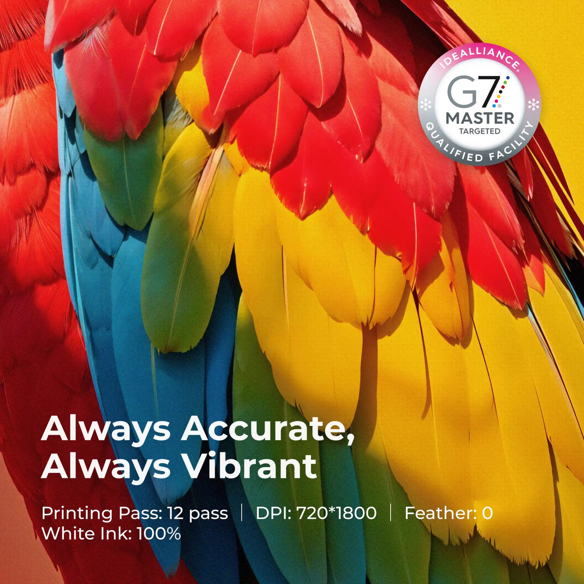 G7 certified colour accuracy on a printed parrot